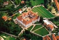 Bild zu Schloss Wilhelmsburg